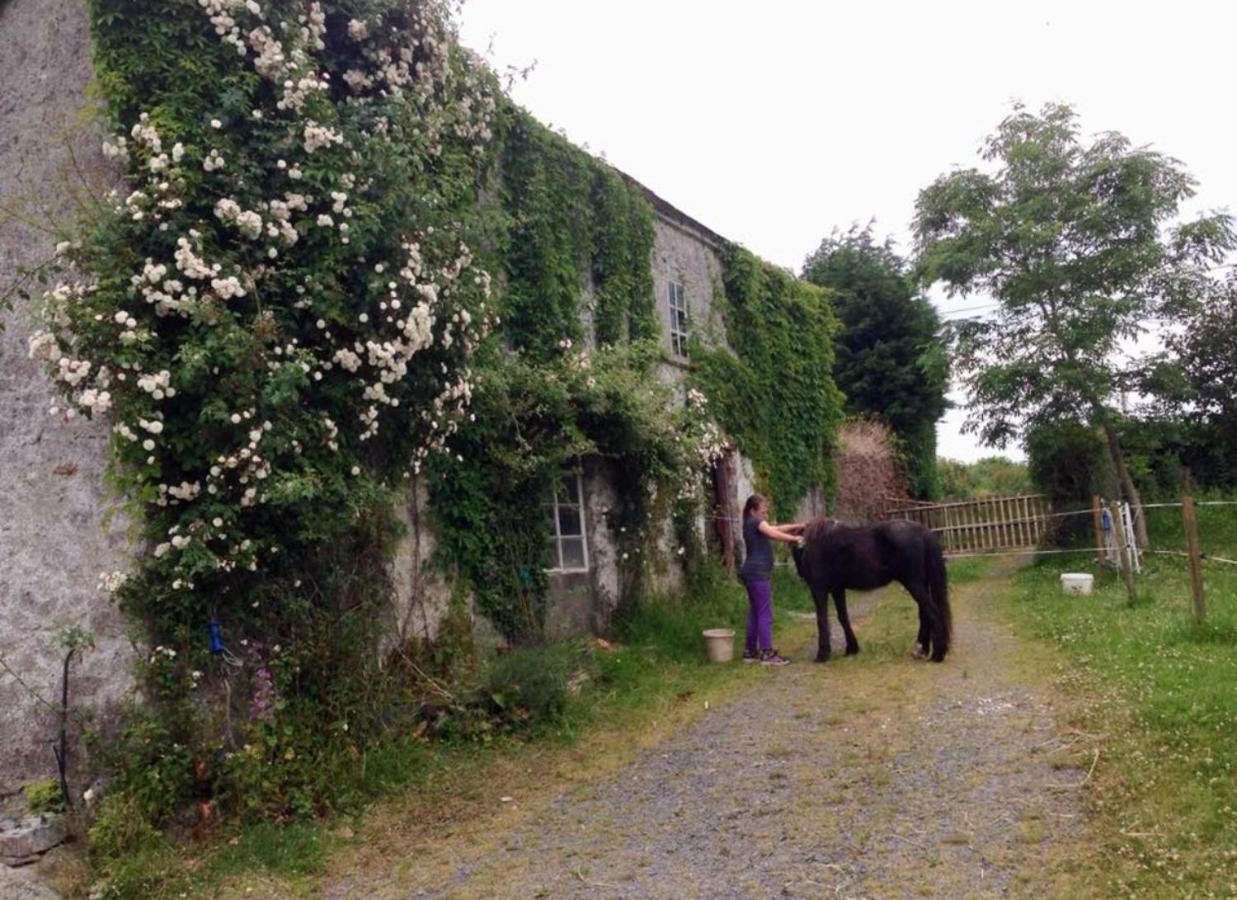 فندق Ballyrider House Inch Cross المظهر الخارجي الصورة